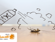 شركة مكافحة الصراصير بالاحساء