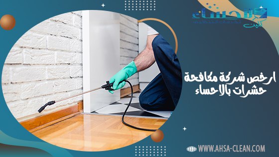 ارخص شركة مكافحة حشرات بالاحساء