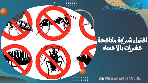 افضل شركة مكافحة حشرات بالاحساء