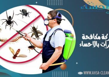 شركة مكافحة حشرات بالاحساء