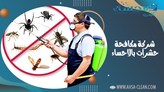 شركة مكافحة حشرات بالاحساء